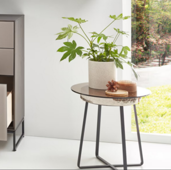 Naturstücke Beistelltisch 1009 Metallgestell, Glasplatte und Birken-Holzscheibe