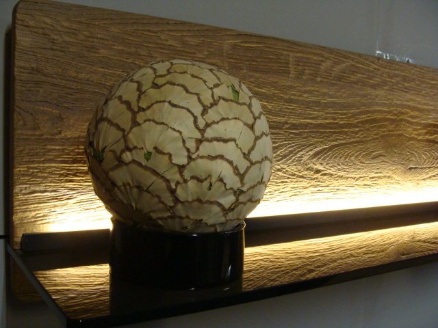 Sonderedition 3001 Paneelbeleuchtung 9722