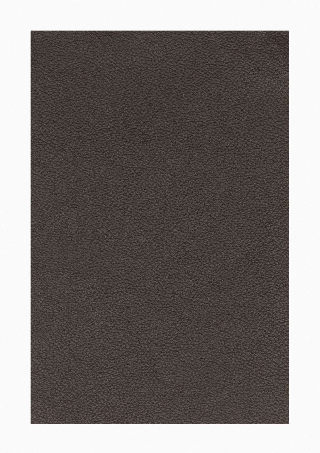Sitzbank ROMY 0829 in Kerneiche Natur in Leder 12 braun